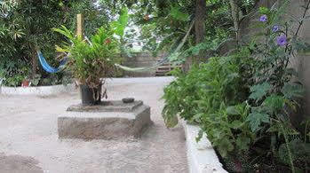 Rafjam Bed And Breakfast Kingston Luaran gambar