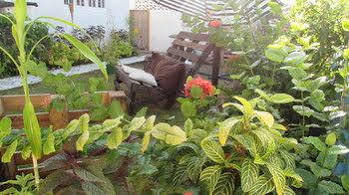 Rafjam Bed And Breakfast Kingston Luaran gambar